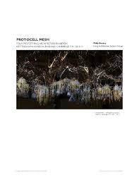PDF) Protocell Mesh