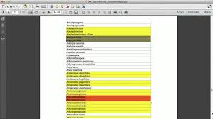 Image result for Acroceras amplectens