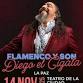 Flamenco and Son event in La Paz, Baja California Sur