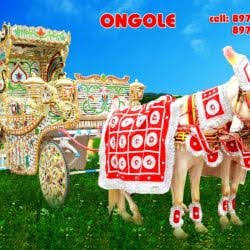 Top Ghori Two Horse Baggi in Kphb Phase 6, Hyderabad near me - Justdial