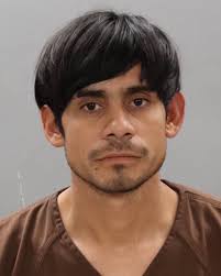 ANFINSON, HENLEY TYLER Charge: AGG ROBBERY, AGG ASSAULT, AND THEFT (REV OF  PROB) HARASSMENT (REV OF PROB) This information and more is available at  https://sheriff.knoxcountytn.gov