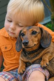 Great photography 🥰