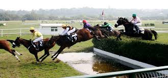 We would like to show you a description here but the site won't allow us. Steeplechase Horse Racing Wikipedia