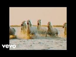 These Are The Songs That Powered You Through Your Toughest Workouts In 2019 In 2020 Calvin Harris Rag N Bone Calvin Harris Music Il traduttore deve solo preoccuparsi delle servitudes. pinterest