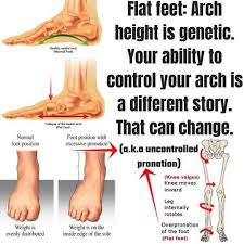 Great Post By Tfc Instructor Optimize Physiotherapy Arch Height Varies Your Ability To Control Your Arch Is Foot Health Physiotherapy Bunion Exercises