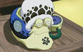 trafalgar d water law den den mushi transponder snail one piece トラファルガー ロー トラファルガー 海賊