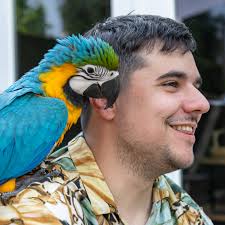 Free Flight Academie