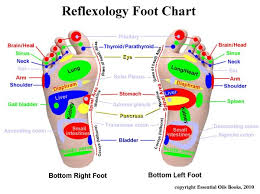 Reflexology Foot Chart The Dr Oz Show