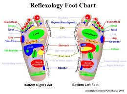 reflexology foot chart the dr oz show