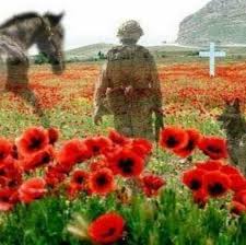 Thank You To All Veterans Remembrance Day Poppy Remembrance Day Art Remembrance Day