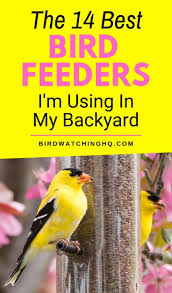 The 16 Best Bird Feeders In My Backyard 2021 Bird Watching Hq Backyard Birds Feeders Best Bird Feeders Bird Feeding Station