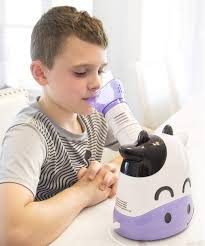 The laws around cbd purchase and use can be confusing. Healthsmart Personal Steam Inhaler Vaporizer For Kids And Children Margo Moo Amazon Co Uk Health Personal Care