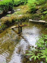 Oriental Garden Taken At Buchard Garden In Victoria British Columbia