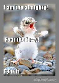 Quotes and sayings, see cute kittens, puppies and other pets on world's cutest animals photo gallery. 31 Funny Animal Pics With Sayings Ideas Funny Animals Cute Animals Funny