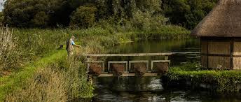 Fishing In Hampshire Visit Hampshire Co Uk