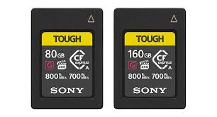 Find fixes from this guide to solve the problem. Amazon Com Sony Cea G160t 160gb Cfexpress Type A Memory Card Ceag160t Electronics