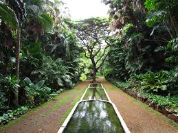 You Guaranteed To Love Hawaii S Allerton Garden