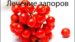 что нужно выпить чтобы сходить в туалет по большому Chem Lechit Hronicheskie Zapory U Pozhilyh Lyudej Preparaty Profilaktika Chto Delat Lezhachim Starikam I Zhenshinam Chtoby Srochno Pomoch