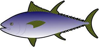 Check spelling or type a new query. 14 Gambar Kartun Ikan Tongkol Kumpulan Gambar Kartun