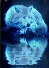 Pin By Aysegul Bingol On Lobos Wolf Spirit Animal Wolf Artwork Anime Wolf