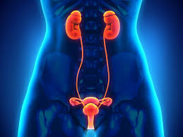 As the cancer progresses, subtle symptoms begin to. Ovarian Cancer The Facts And Symptoms Woman S Weekly