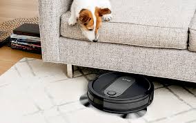 They were originally bred from wolves. 10 Best Robot Vacuums For Pet Hair Of 2020 According To Reviews Better Homes Gardens