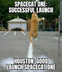 The earliest versions of lolcats appeared on 4chan, usually on saturdays, which were designated caturday, as a day to post photos of cats. Rocket Cat Meme Album On Imgur