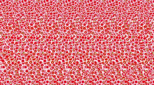 images?q=tbn:ANd9GcRuQRJJkdkuOCf_Xlxd76h