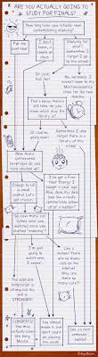 Are You Actually Going To Study For Finals Collegehumor Post