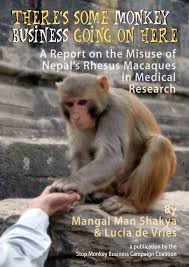 There's Some Monkey Business Going On