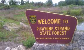 Find Your Policy Lost Life Insurance Policy Locator State Forest National Parks Trip Florida Law