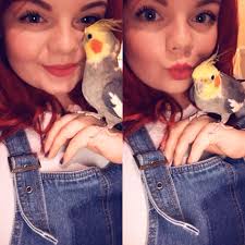 Happy birthday to me and my favorite villagers