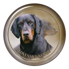 Image result for slovenský kopov