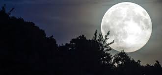 Alle infos, wettervorhersage und hintergründe gibt's hier. Der Supermond Radio Energy