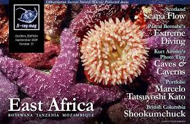 Barb Roy — an inspiration to us all