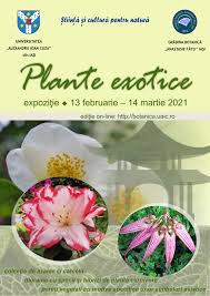 Intrucat gradina botanica are o alee destinata persoanelor cu dizabilitati de vedere, soiurile expuse vor impresiona prin mirosul specific si textura catifelata. Gradina Botanica Iasi Anunturi