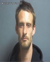 Greene County Jail Log