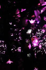 Pin On Sparkles Glitter And Lights