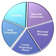 There Are 5 Components Of Hre Sometimes They Are Confused With Components Health And Physical Education Health And Fitness Articles Fitness Healthy Lifestyle