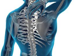 Image result for Musculoskeletal Manipulation