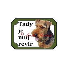 Image result for velšteriér