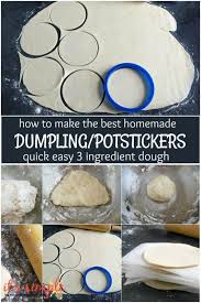 How To Make Potstickers Dough In 5 Minutes With Video Tutorial Recipe Asian Dumpling Recipe Homemade Dumplings Potstickers