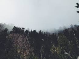 Discover more posts about tapete. Natur Tumblr Hintergrund Natur Tapete Tumblr 1024x768 Wallpapertip