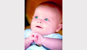 GALLERY: Illawarra's babies of 2012