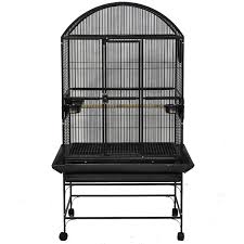 Bird Cage Seed Guard Petsmart A E Cage Company Stainless Steel Palace Dometop Bird Cage 32 L X 23 W X 63 H Bird Cage Cage Cockatiel Cage