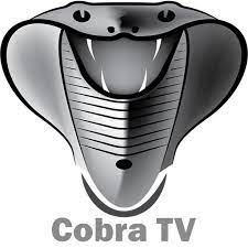 Allow third party apps on your device. Cobra Tv Apk Download For Windows Latest Version 1 0