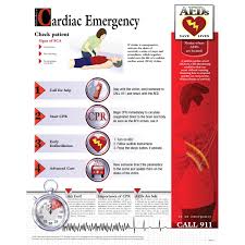 Cardiac Emergency Chart Laminated