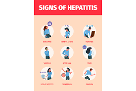 Image result for hepatitis symptoms