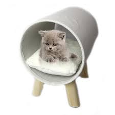 Advertisement cats can make great pets and companions. Linen Cat Tunnel Bed T S Pet Products Linen Cat Tunnel Bed