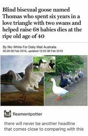 Pin By India Cooliewoo On Stuff Cosas Graciosas Cosas Divertidas Memes